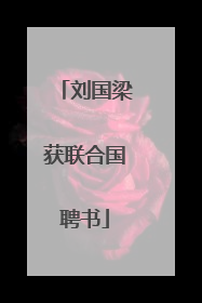 刘国梁获联合国聘书