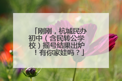 刚刚，杭城民办初中（含民转公学校）摇号结果出炉！有你家娃吗？