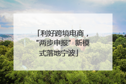 利好跨境电商，“两步申报”新模式落地宁波