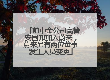 前中金公司高管安国邦加入蔚来，蔚来另有两位董事发生人员变更