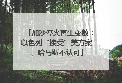 加沙停火再生变数：以色列“接受”美方案、哈马斯不认可