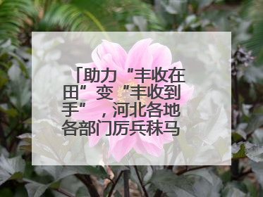 助力“丰收在田”变“丰收到手”，河北各地各部门厉兵秣马迎战“三夏”