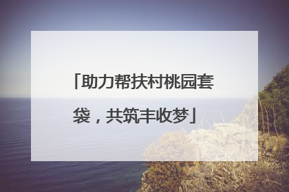 助力帮扶村桃园套袋，共筑丰收梦