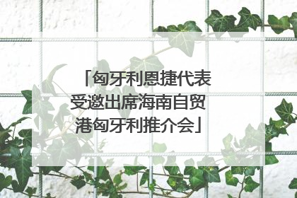 匈牙利恩捷代表受邀出席海南自贸港匈牙利推介会