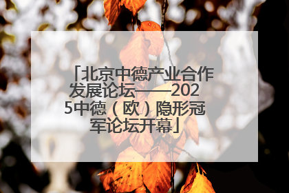 北京中德产业合作发展论坛——2025中德（欧）隐形冠军论坛开幕