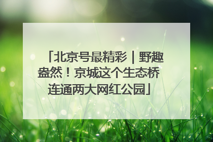 北京号最精彩｜野趣盎然！京城这个生态桥连通两大网红公园