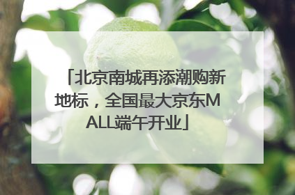 北京南城再添潮购新地标，全国最大京东MALL端午开业