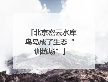 北京密云水库鸟岛成了生态“训练场”