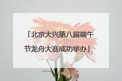 北京大兴第八届端午节龙舟大赛成功举办