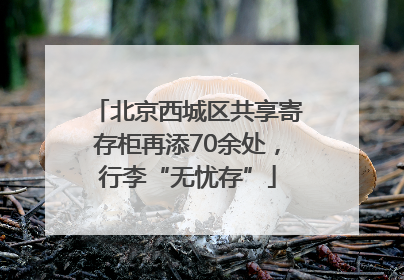 北京西城区共享寄存柜再添70余处，行李“无忧存”