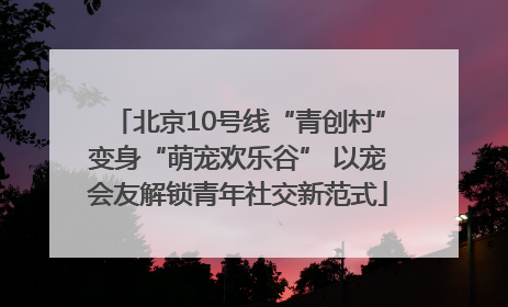 北京10号线“青创村”变身“萌宠欢乐谷” 以宠会友解锁青年社交新范式