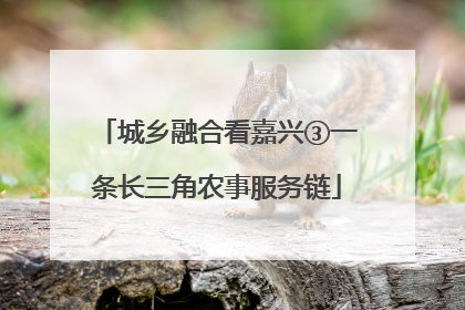 城乡融合看嘉兴③一条长三角农事服务链
