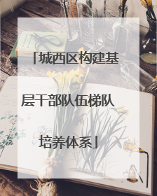 城西区构建基层干部队伍梯队培养体系