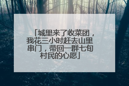 城里来了收菜团，我花三小时赶去山里串门，带回一群七旬村民的心愿