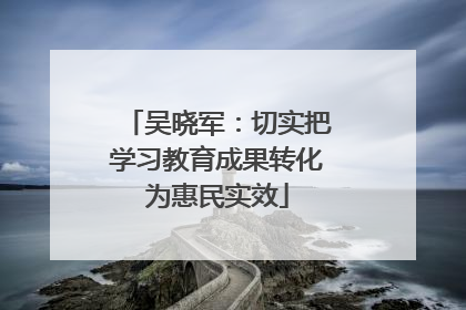 吴晓军：切实把学习教育成果转化为惠民实效