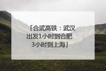 合武高铁：武汉出发1小时到合肥3小时到上海