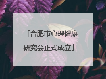 合肥市心理健康研究会正式成立
