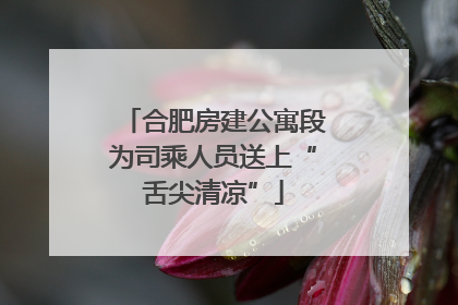 合肥房建公寓段为司乘人员送上“舌尖清凉”