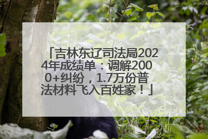 吉林东辽司法局2024年成绩单：调解2000+纠纷，1.7万份普法材料飞入百姓家！