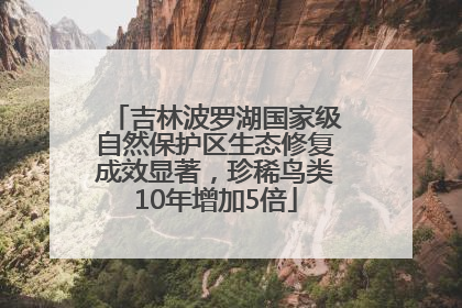 吉林波罗湖国家级自然保护区生态修复成效显著，珍稀鸟类10年增加5倍