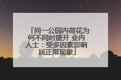 同一公园内荷花为何不同时盛开 业内人士：受多因素影响 属正常现象
