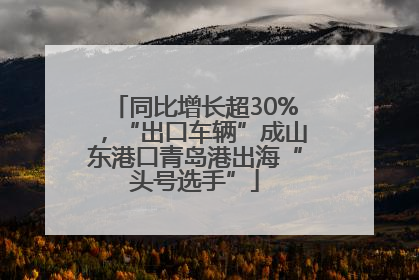 同比增长超30%，“出口车辆”成山东港口青岛港出海“头号选手”