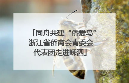 同舟共建“侨爱岛” 浙江省侨商会青委会代表团走进嵊泗