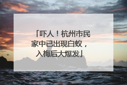 吓人！杭州市民家中已出现白蚁，入梅后大爆发