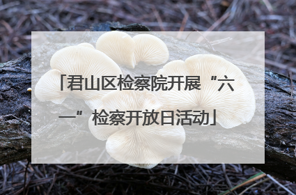 君山区检察院开展“六一”检察开放日活动