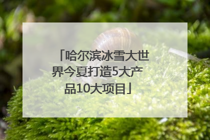 哈尔滨冰雪大世界今夏打造5大产品10大项目
