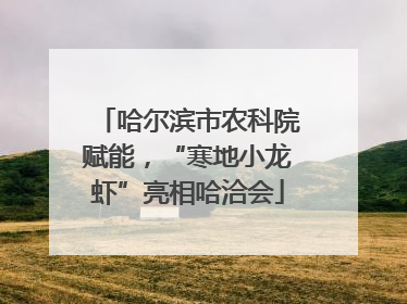 哈尔滨市农科院赋能，“寒地小龙虾”亮相哈洽会