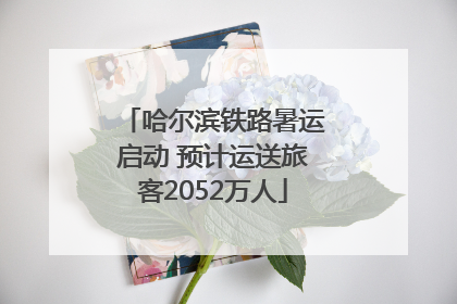 哈尔滨铁路暑运启动 预计运送旅客2052万人