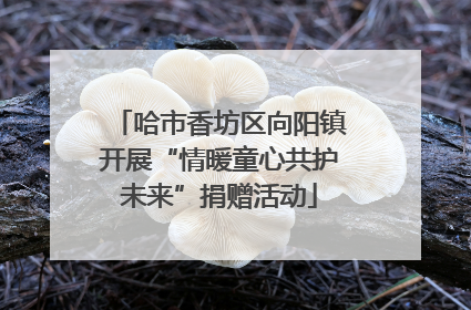 哈市香坊区向阳镇开展“情暖童心共护未来”捐赠活动