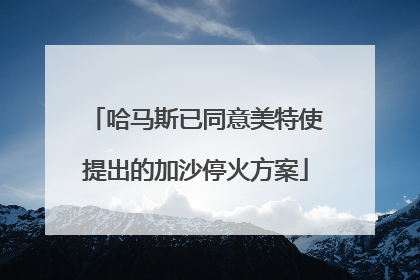 哈马斯已同意美特使提出的加沙停火方案
