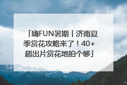 嗨FUN暑期丨济南夏季赏花攻略来了！40+超出片赏花地拍个够