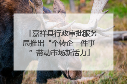 嘉祥县行政审批服务局推出“个转企一件事”带动市场新活力