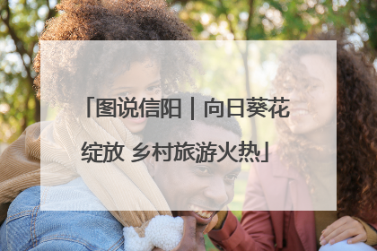 图说信阳｜向日葵花绽放 乡村旅游火热
