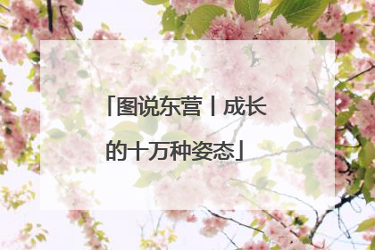 图说东营丨成长的十万种姿态