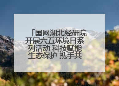 国网湖北经研院开展六五环境日系列活动 科技赋能生态保护 携手共建绿色电网