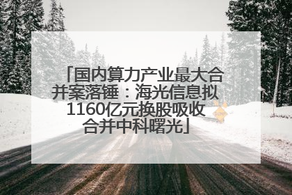 国内算力产业最大合并案落锤：海光信息拟1160亿元换股吸收合并中科曙光