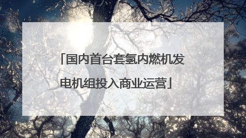 国内首台套氢内燃机发电机组投入商业运营
