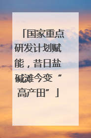 国家重点研发计划赋能，昔日盐碱滩今变“高产田”