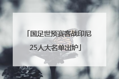 国足世预赛客战印尼25人大名单出炉