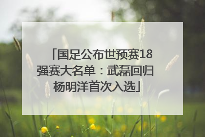 国足公布世预赛18强赛大名单：武磊回归 杨明洋首次入选