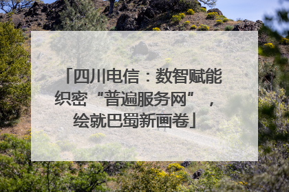 四川电信：数智赋能织密“普遍服务网”，绘就巴蜀新画卷