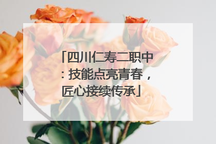 四川仁寿二职中：技能点亮青春，匠心接续传承