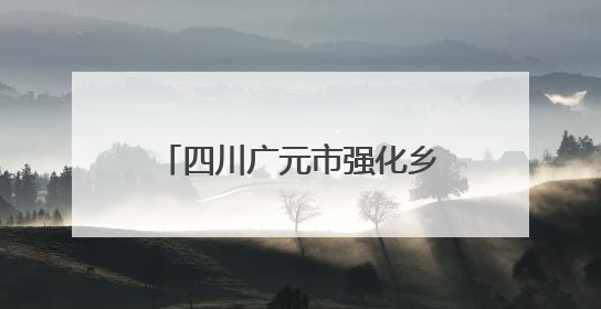 四川广元市强化乡村振兴资金使用监管突出问题专项整治