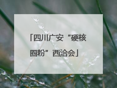 四川广安“硬核圈粉”西洽会