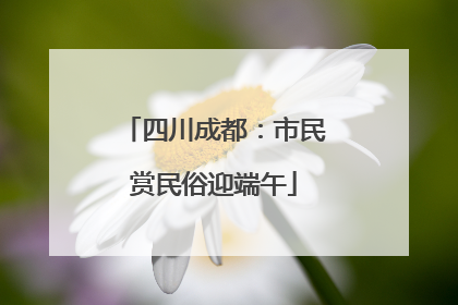 四川成都：市民赏民俗迎端午