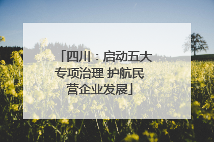四川：启动五大专项治理 护航民营企业发展